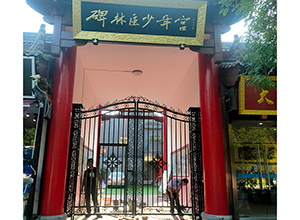 碑林區(qū)少年宮鐵藝大門